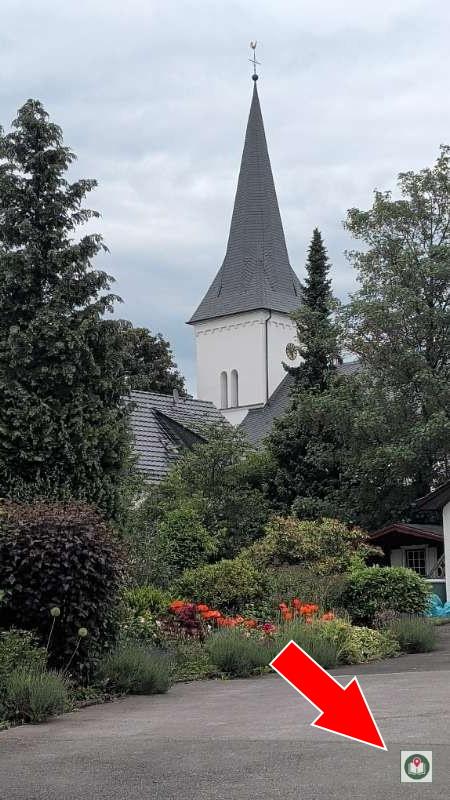 Foto mit Pfadwerk-Wasserzeichen